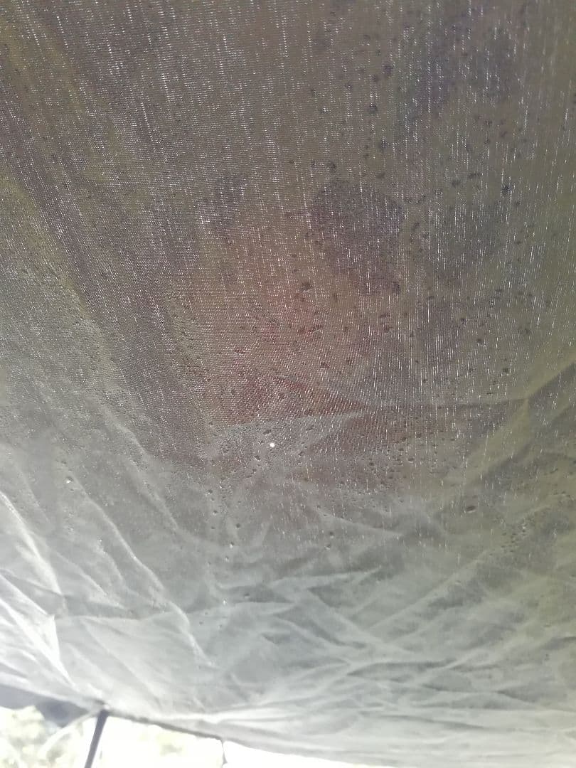 専用ページ！！こまっちゃん様！