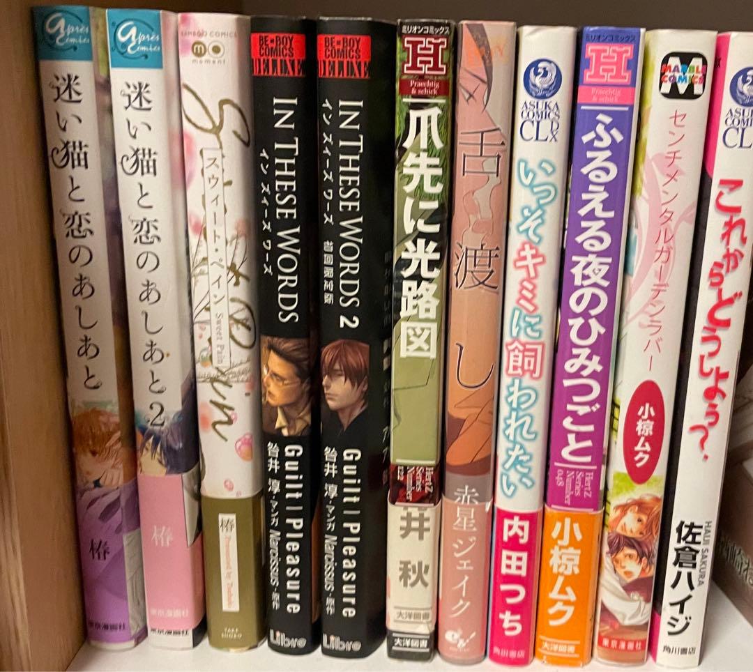 値下げ！アレンジ可！商業BL 人気作家90冊まとめ売り　テンカウント全巻