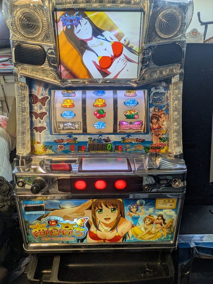 南国育ち　1st　vacation