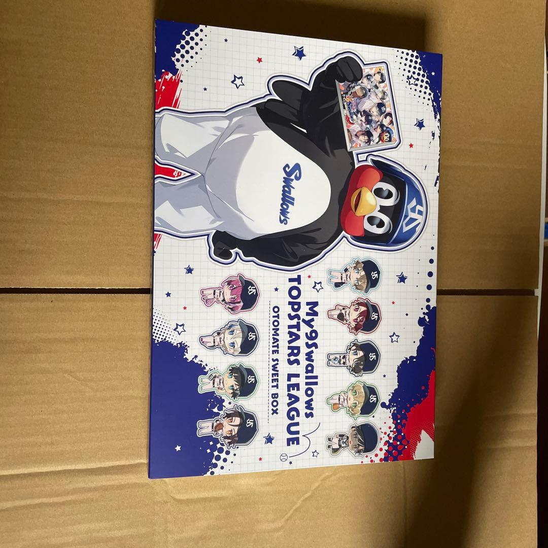 Nintendo Switch Switch My9Swallows TOPSTARS LEAGUE