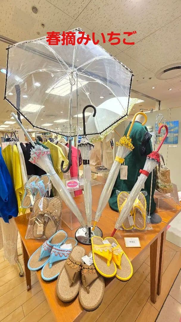 近沢レース　ハッピーアンブレラ　春摘みいちご　赤