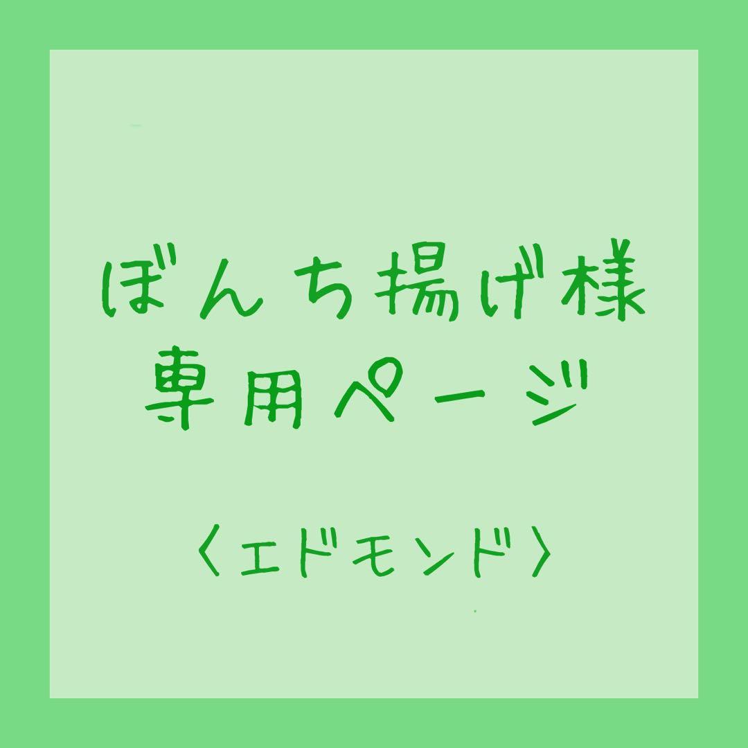 ぼんち揚げページ