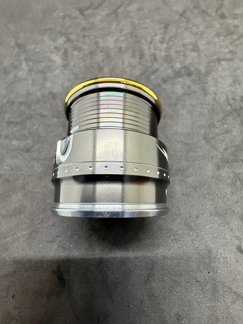 ダイワ 17スティーズ TYPE-1 純正スプール