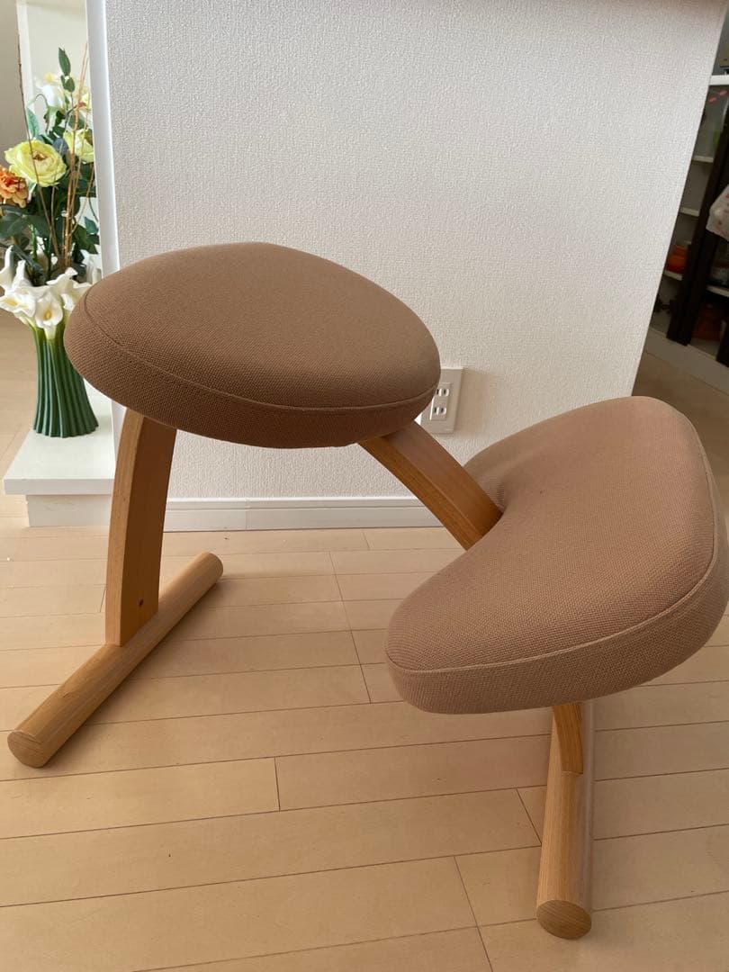 サカモトハウス 姿勢矯正 バランスチェア　バランスイージー