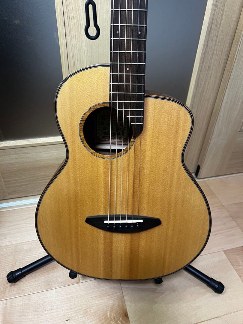 aNueNue Bird Guitar aNN-M10E エレアコ