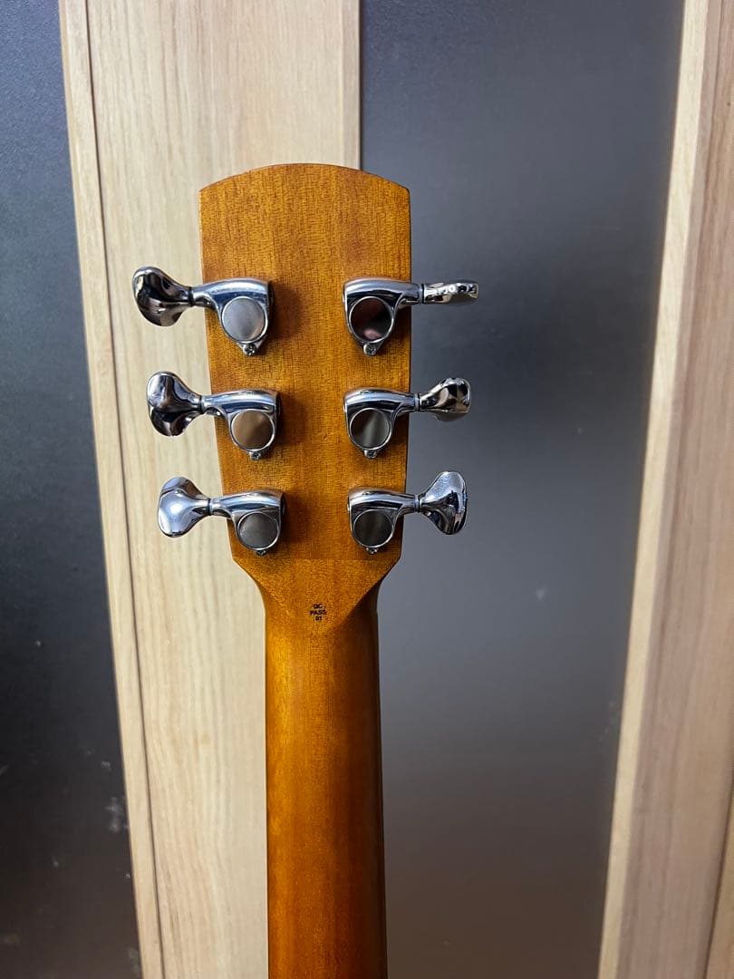 aNueNue Bird Guitar aNN-M10E エレアコ