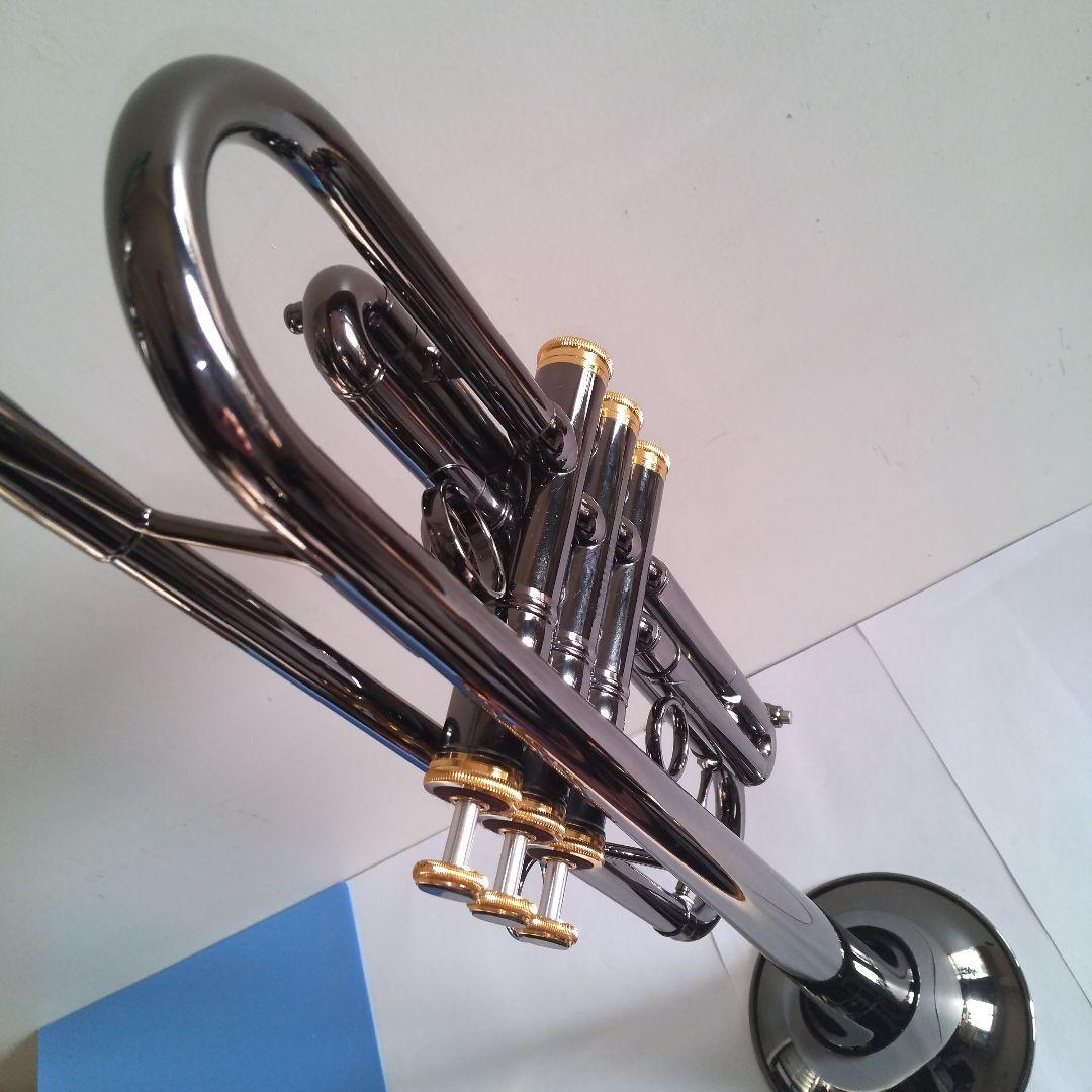 い*ん様 トランペット Queen Brass Zorro