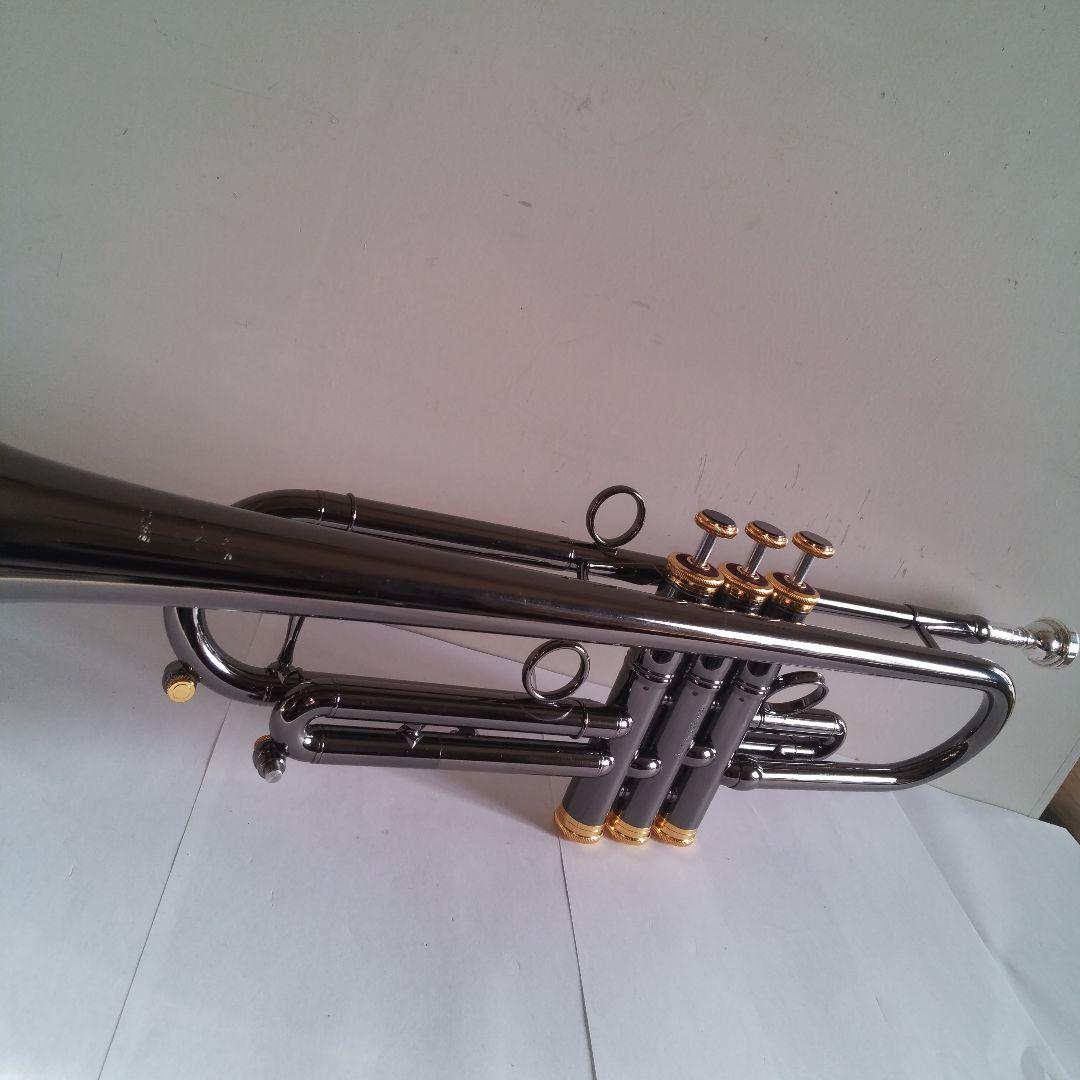 い*ん様 トランペット Queen Brass Zorro