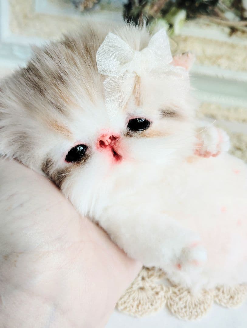 ベビー子猫♡お腹ぽっこりちゃん♡アートドール♡ぬいぐるみ♡