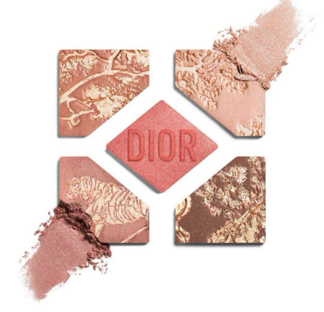 【新品・未使用】希少！ディオール ショウ サンク クルール654コーラルリビエラ