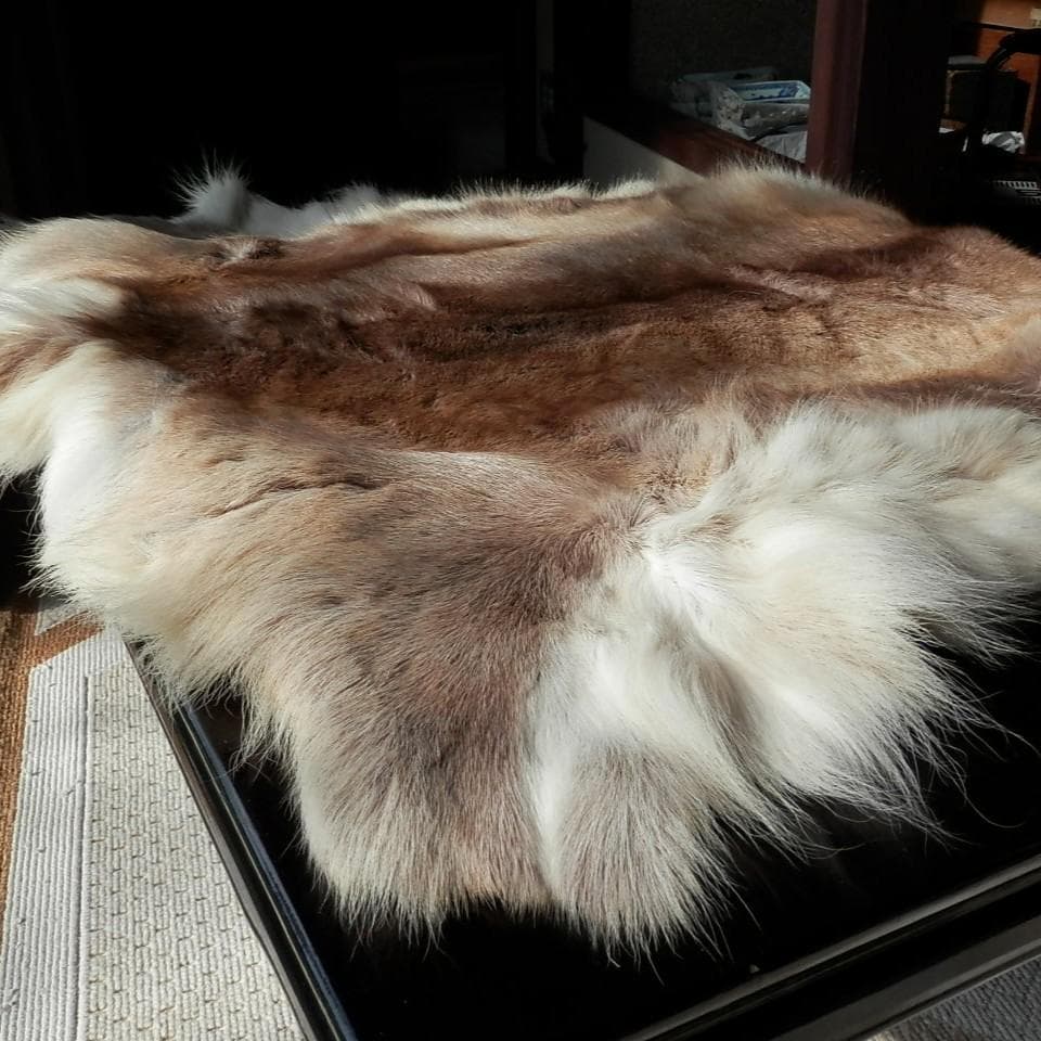 トナカイ毛皮　赤毛　きのこマット付き