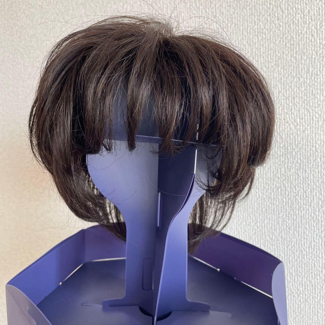 フォンテーヌ VALAN premium 高級ウィッグ VPD04 F4