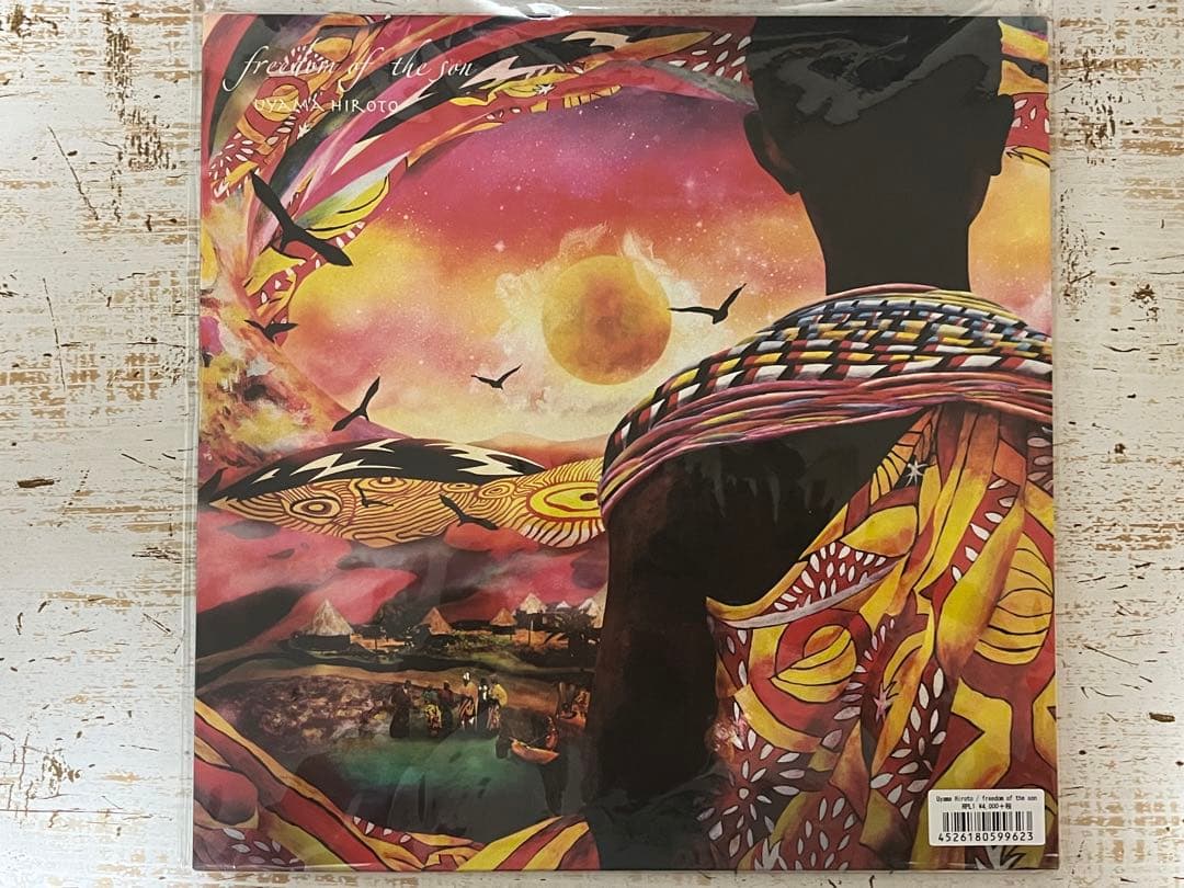 Feeling of the Sun 2枚組レコード