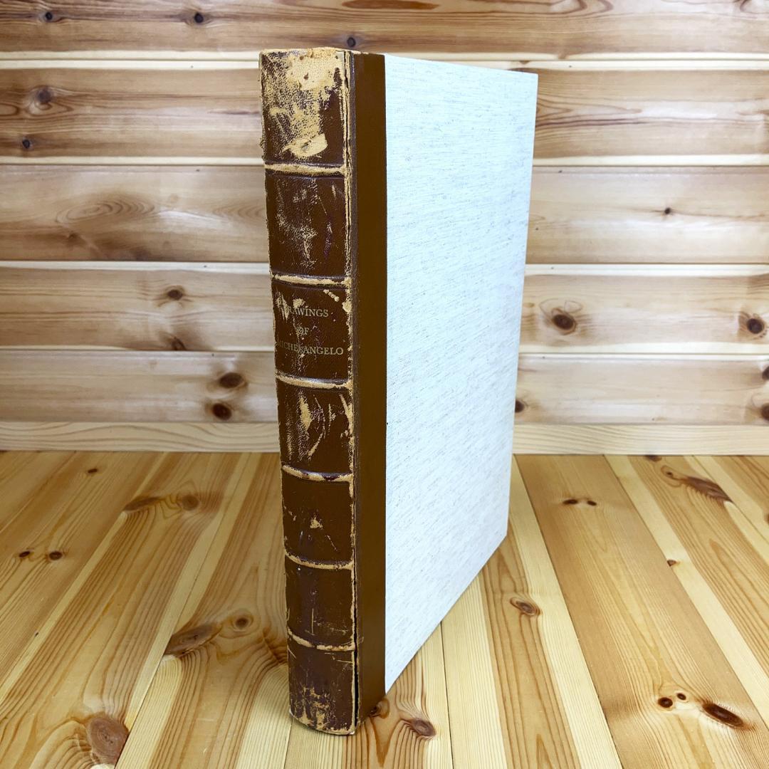 ミケランジェロ デッサン画集 MICHELANGELO 1965 素描 図録