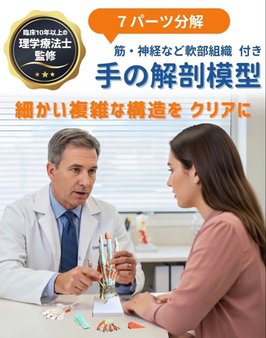 手解剖模型 7パーツ分解 等身大 軟部組織付き 理は人体模型 手関節 教材