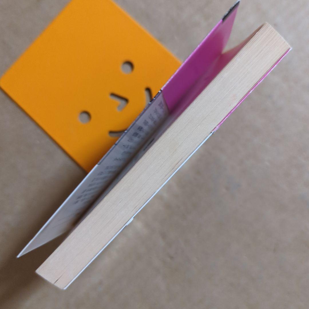 思い出のアンネ・フランク　ミーブ・ヒース / アリスン・レスリー・ゴールド /