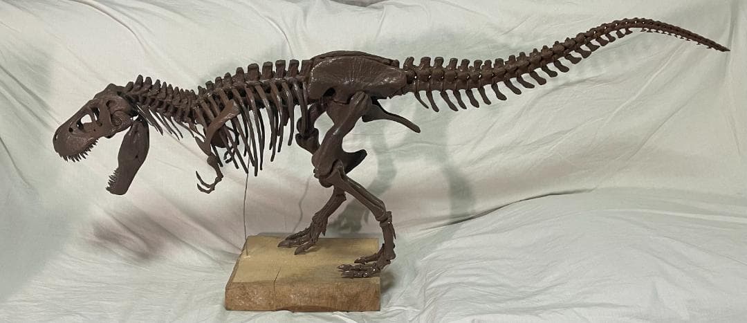 木彫　Tyrannosaurus rex 1/10　全身骨格模型 約97cm
