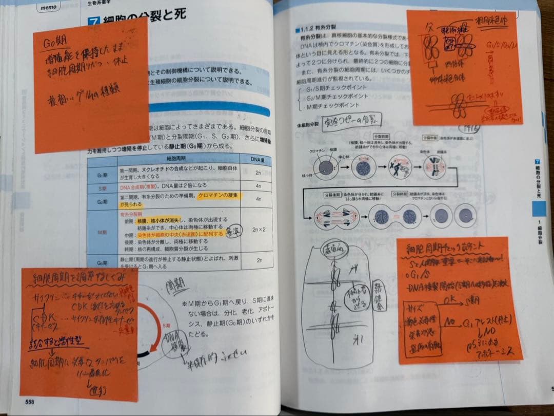 【大特価】コアカリ重点ポイント集　コアカリマスター コアカリCBT対応版 第8版