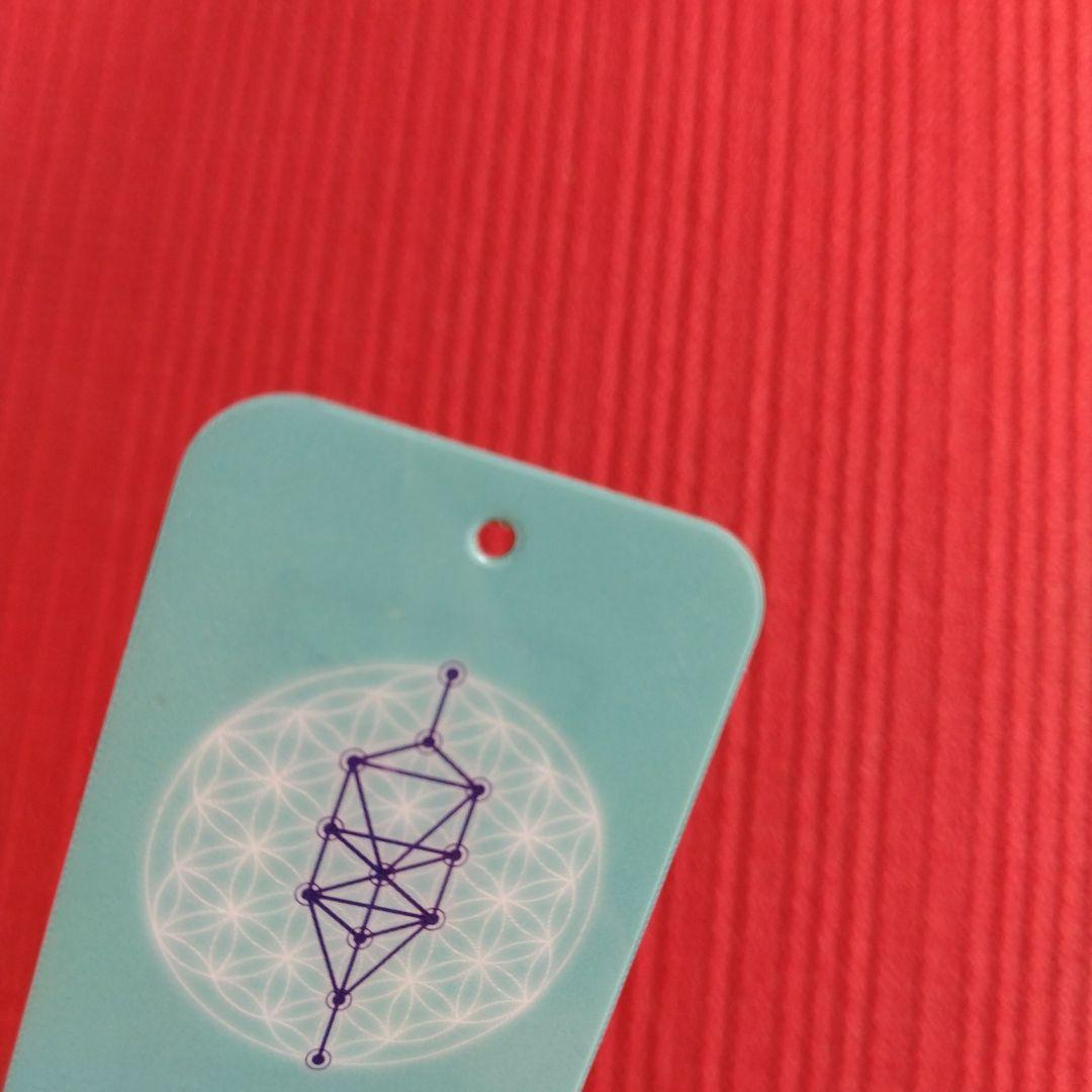 特別仕様テラチップ **最新モデル** 電磁波対策 量子波発信機