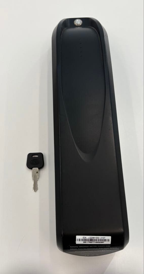 エディ　BRONX BUGGY ブロンクスバギー　e-bike