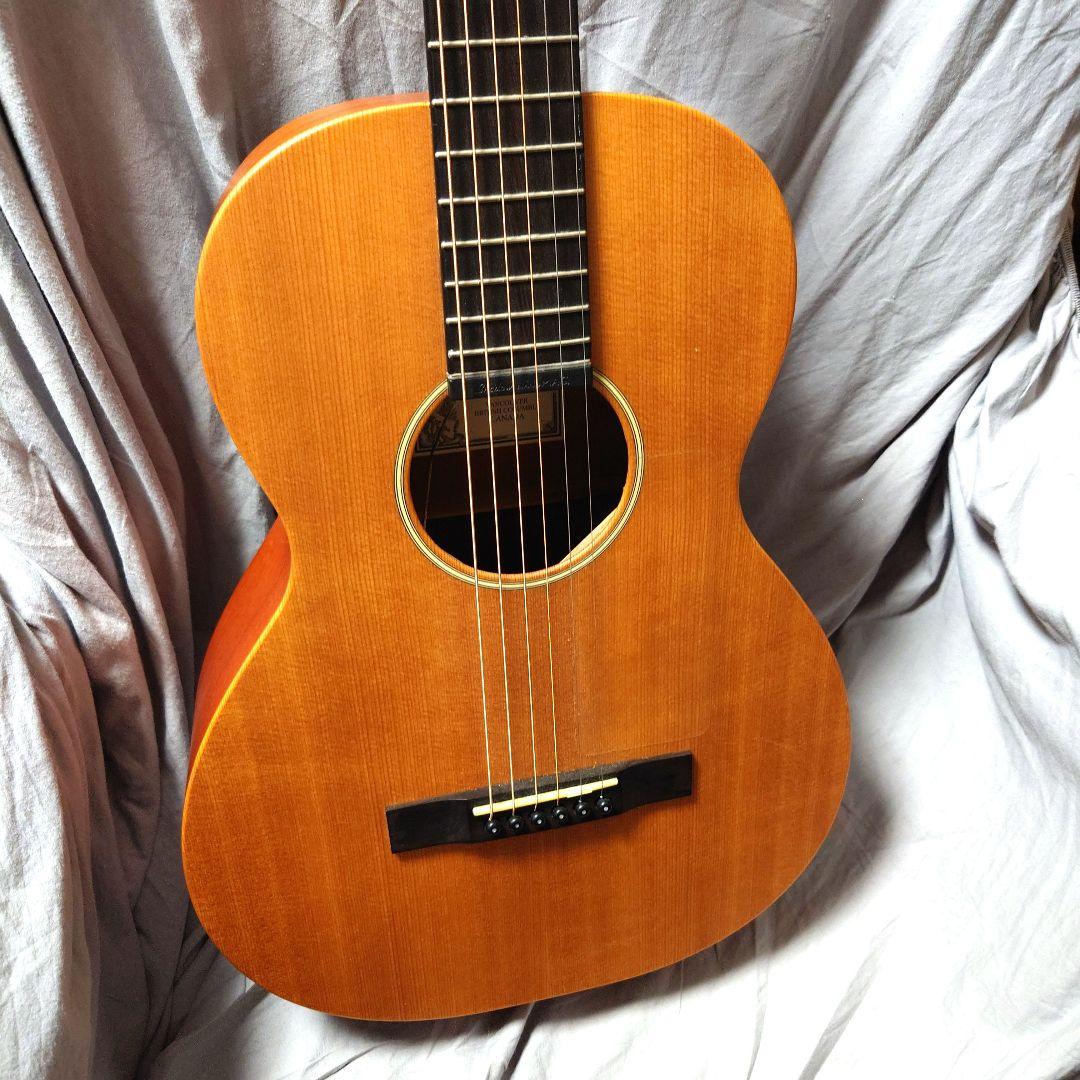 Larrivée パーラー o-01 shadow nano mag付