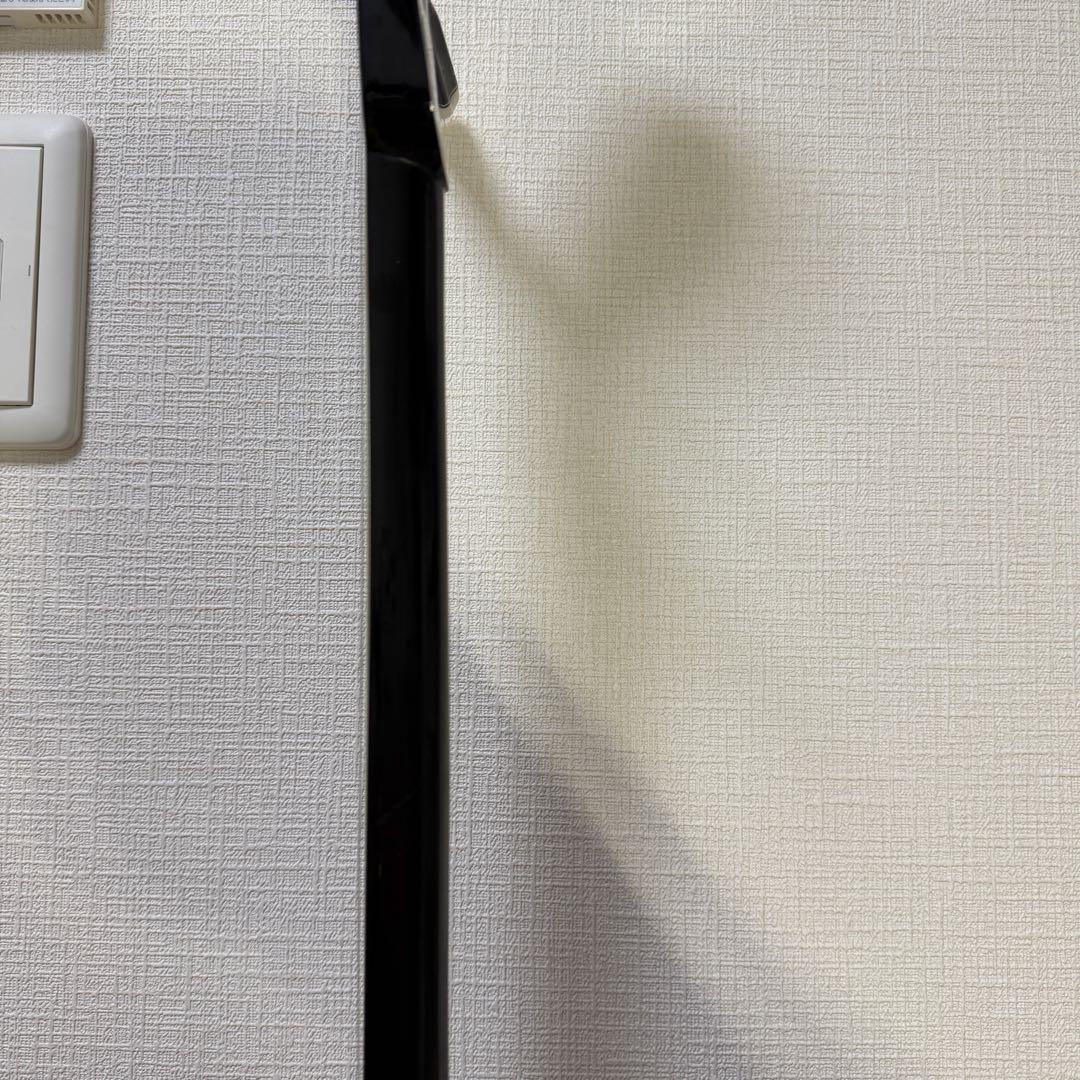 沖縄三線 人工皮 蛇柄 初心者向け 練習用 黒塗り棹