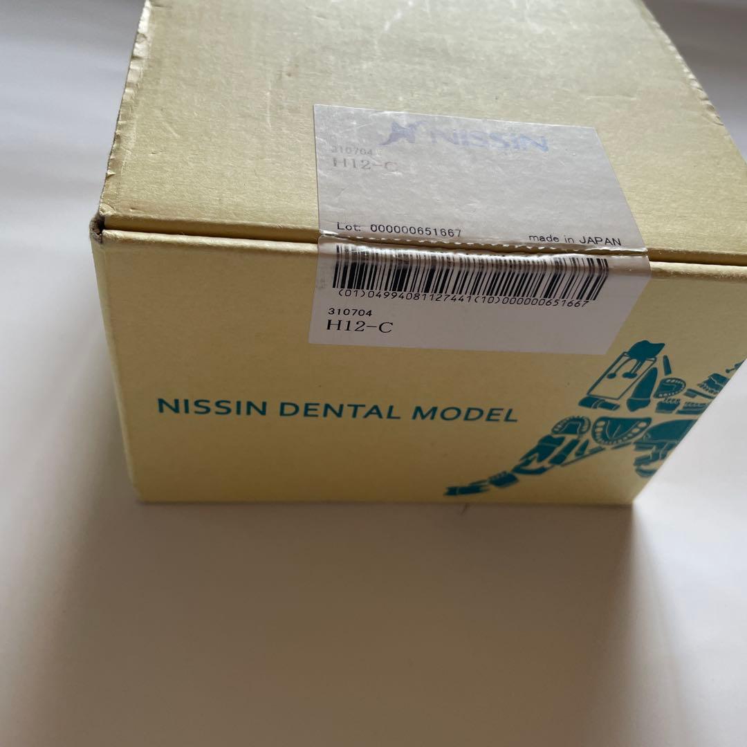 NISSINスタディモデルゴム枠・永久歯顎用 丸型 [H12-C]