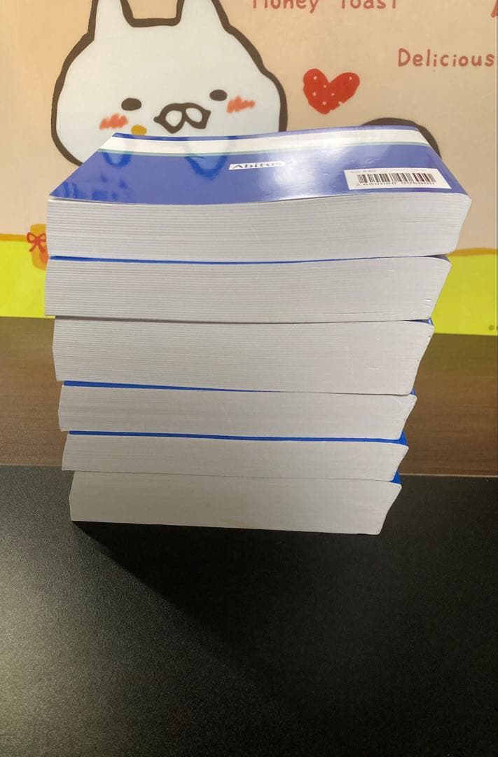 ヒロ　CISA Abitus Ver.6.03 アビタス 最新版 問題集等