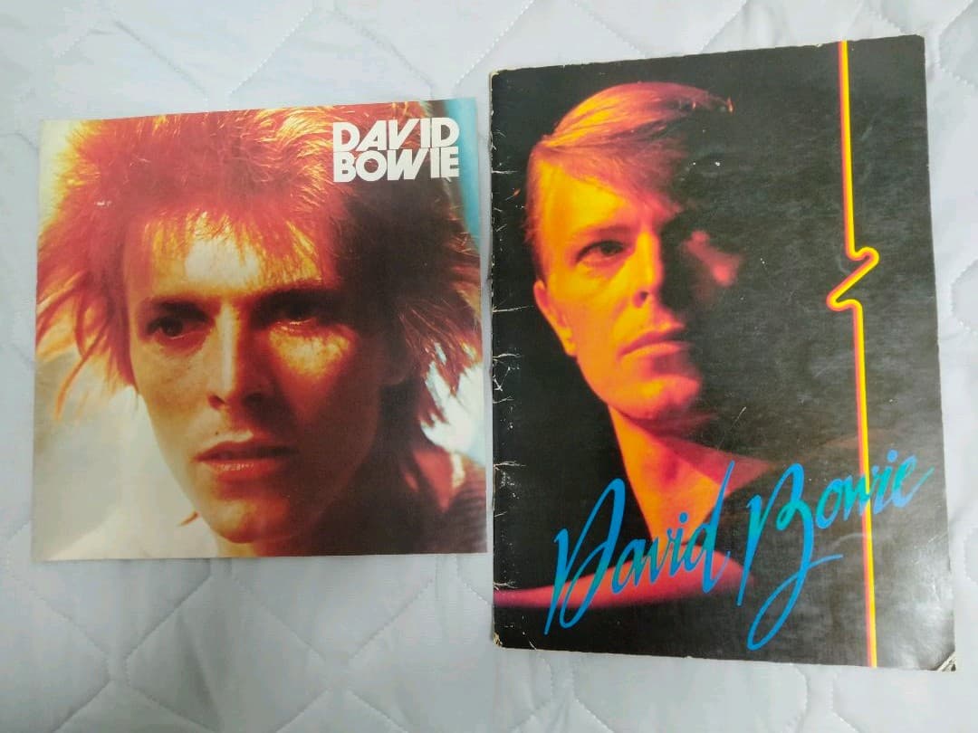 デヴィッド・ボウイ　来日ツアーパンフレット