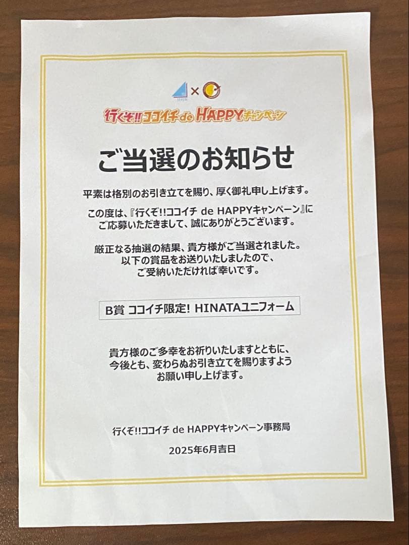 B賞　ココイチ限定！　HINATAユニフォーム　推しのグッズ付き