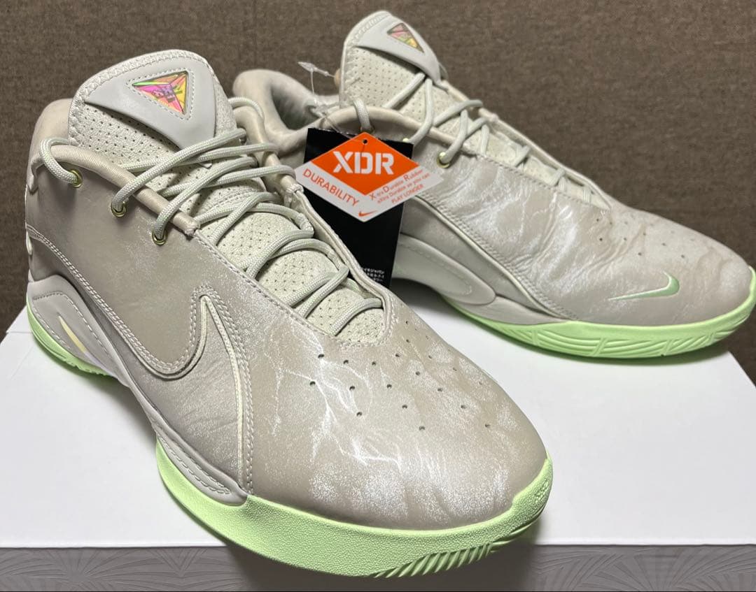 NIKE LEBRON 22 EP ナイキ レブロン 30cm 箱付き