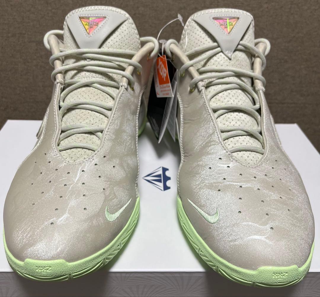 NIKE LEBRON 22 EP ナイキ レブロン 30cm 箱付き