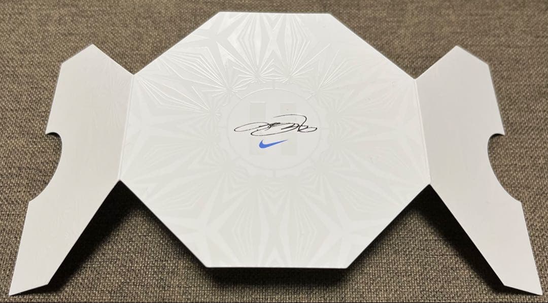 NIKE LEBRON 22 EP ナイキ レブロン 30cm 箱付き