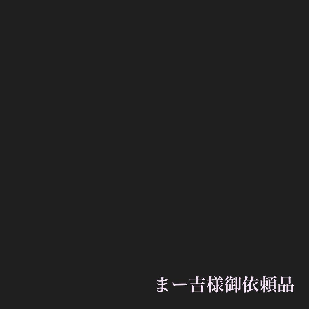 まー吉様御依頼品　ミニ四駆デュアルリッジ　塗装済み　ポリカボディー