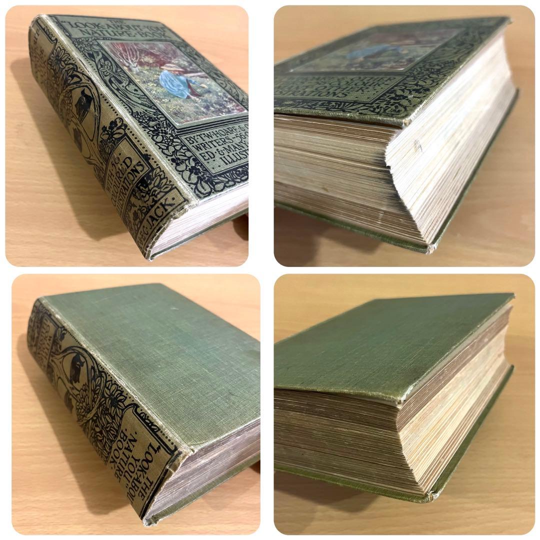 No.241 古書 洋書 児童書 植物·昆虫·動物·樹木·鳥·蝶·魚 図鑑 自然