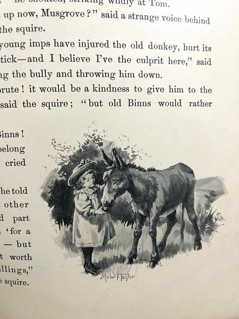 N o.356レア 超希少 アンティーク 洋書 絵本 ビクトリアン 児童書