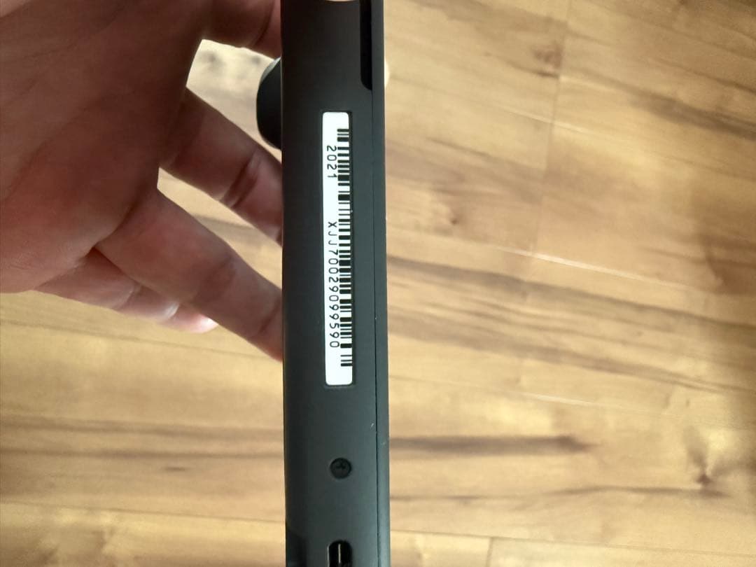 Nintendo Switch Lite グレー 充電器付属