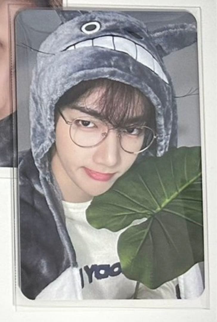 ZB1 ゼベワン  EVERLINE ラキドロ トトロ ジャンハオ　トレカ