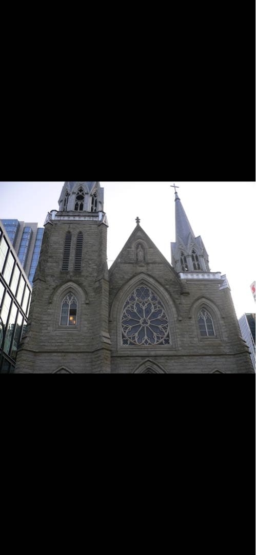 値引き中SDカード付き⭐︎Panasonic LUMIX DMC-FX7 シルバー