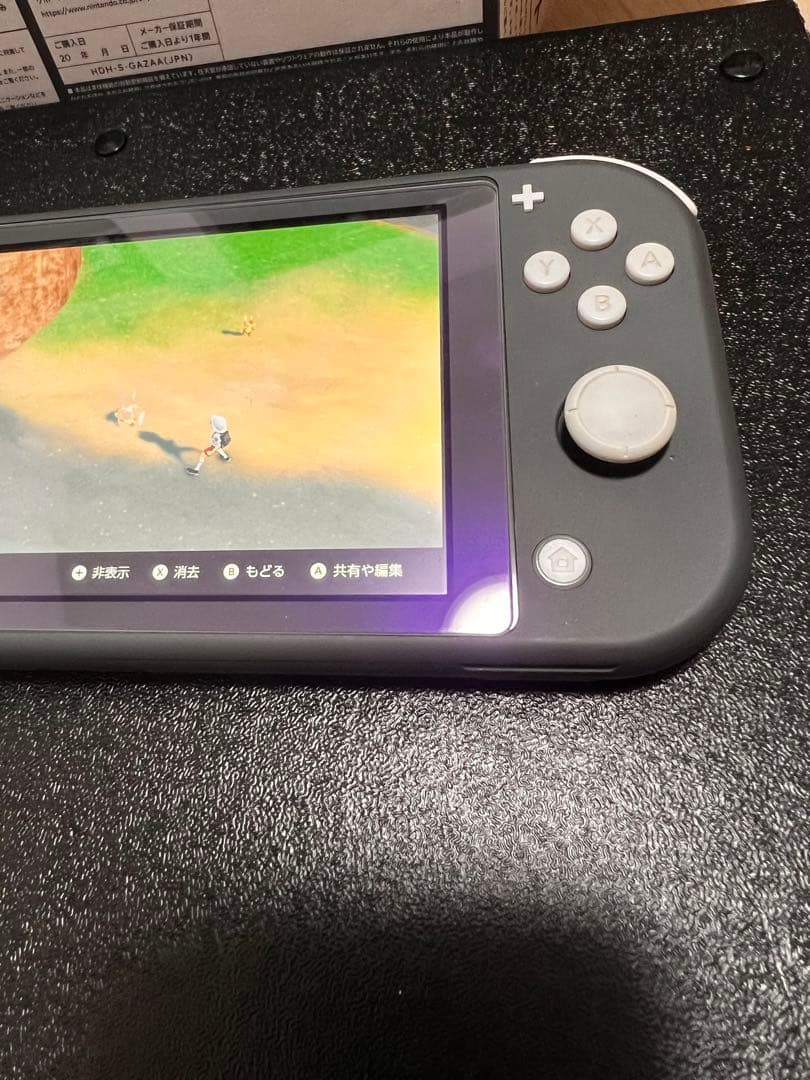 Nintendo Switch Lite 本体 動作確認済み