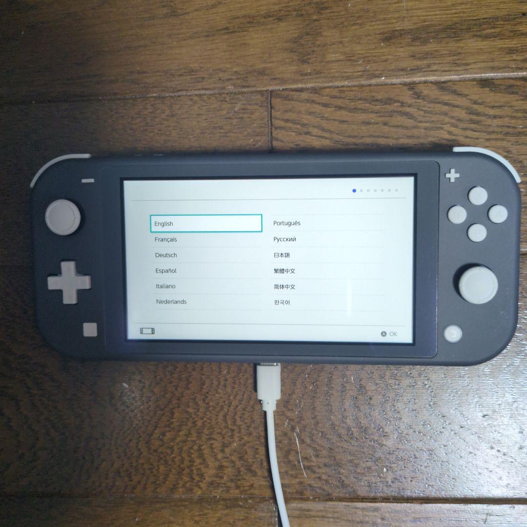 NintendoSwitchライト(本体のみ)カバー付き