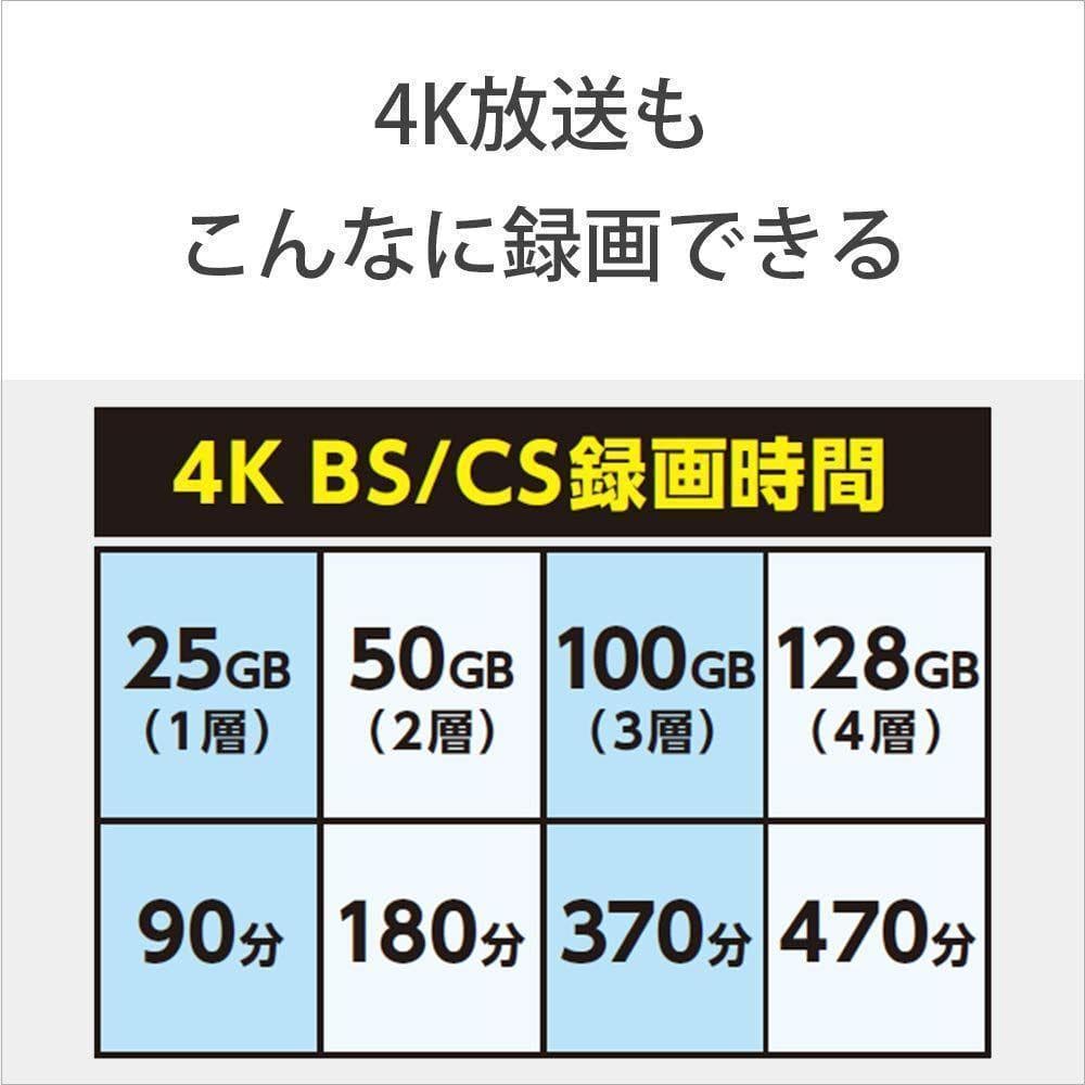 ソニー ブルーレイディスク BD-RE XL 100GB 20枚 (240時間)