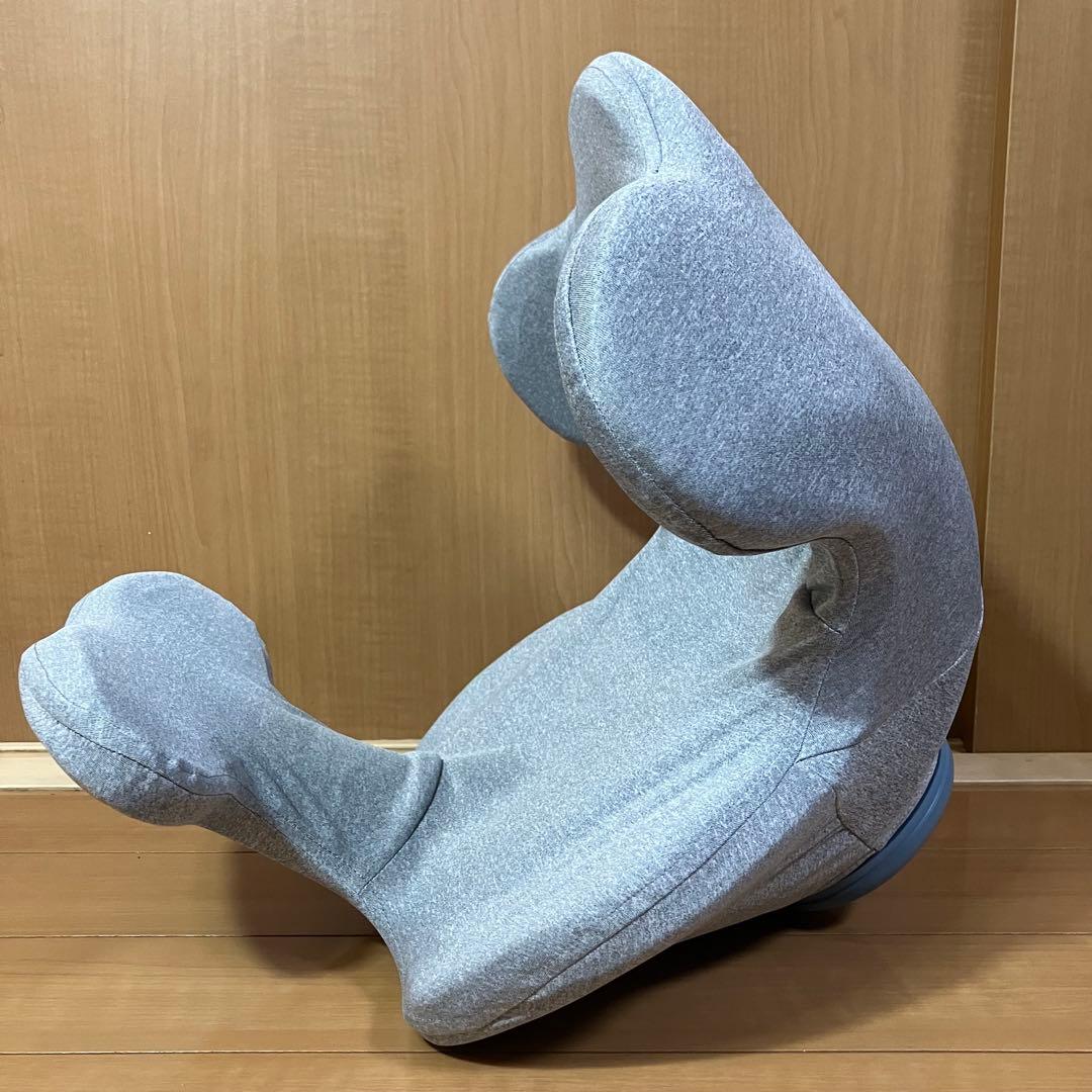 Circle Balance ヨガバランス開脚チェ アマット付き