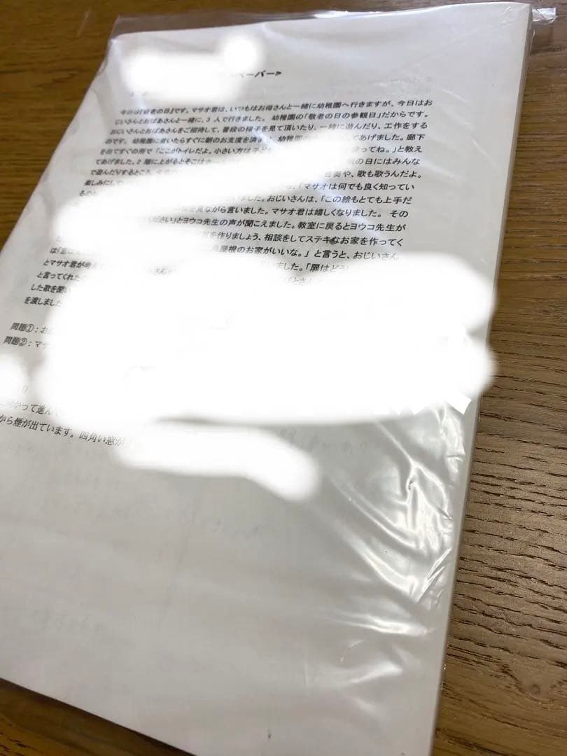 ジャック　早稲田実業学校初等部2022年約290枚& 夏季集中講座前期後期54枚