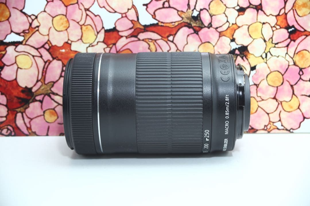 ❤️高性能望遠レンズ❤️Canon EF-S 55-250mm IS STM❤️