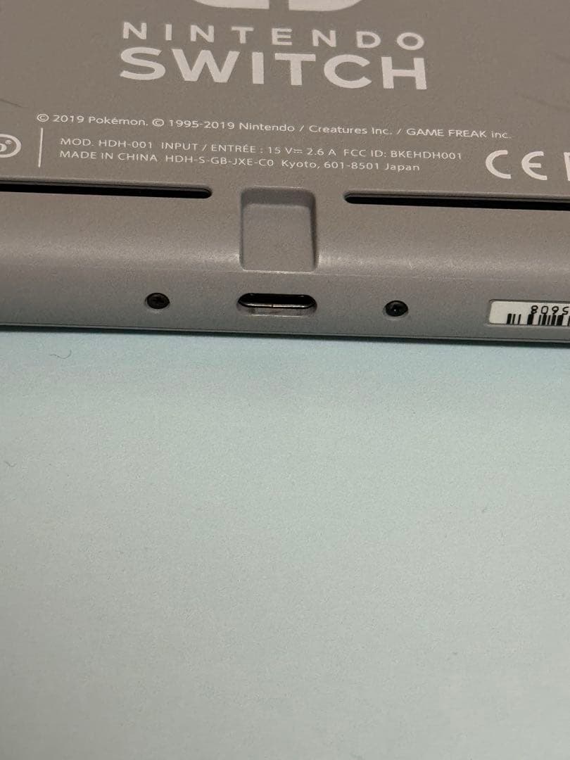 Nintendo Switch Lite ザマゼンタ&ザシアン　動作不良