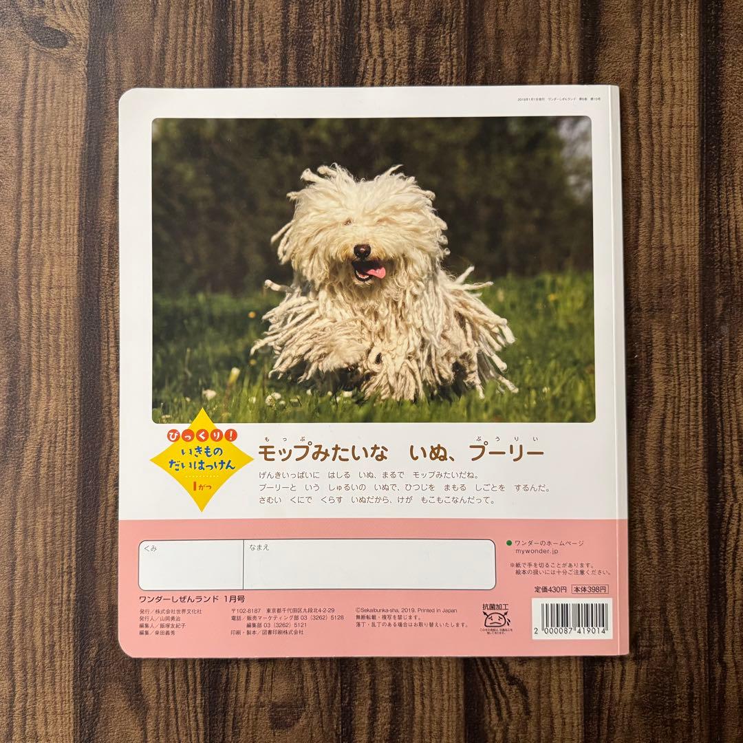 季節の食文化　おせちりょうり　かがくのとも　ワンダーしぜんランド