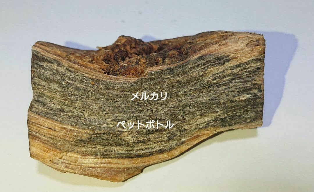 香木 沈香 伽羅 聞香◎品名:ブルー白檀の根っこ15g