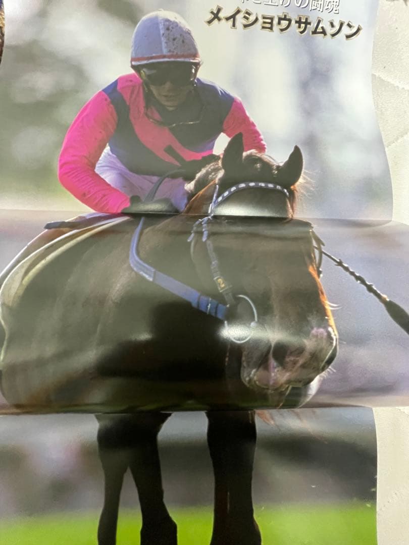 レーシングプログラム記念