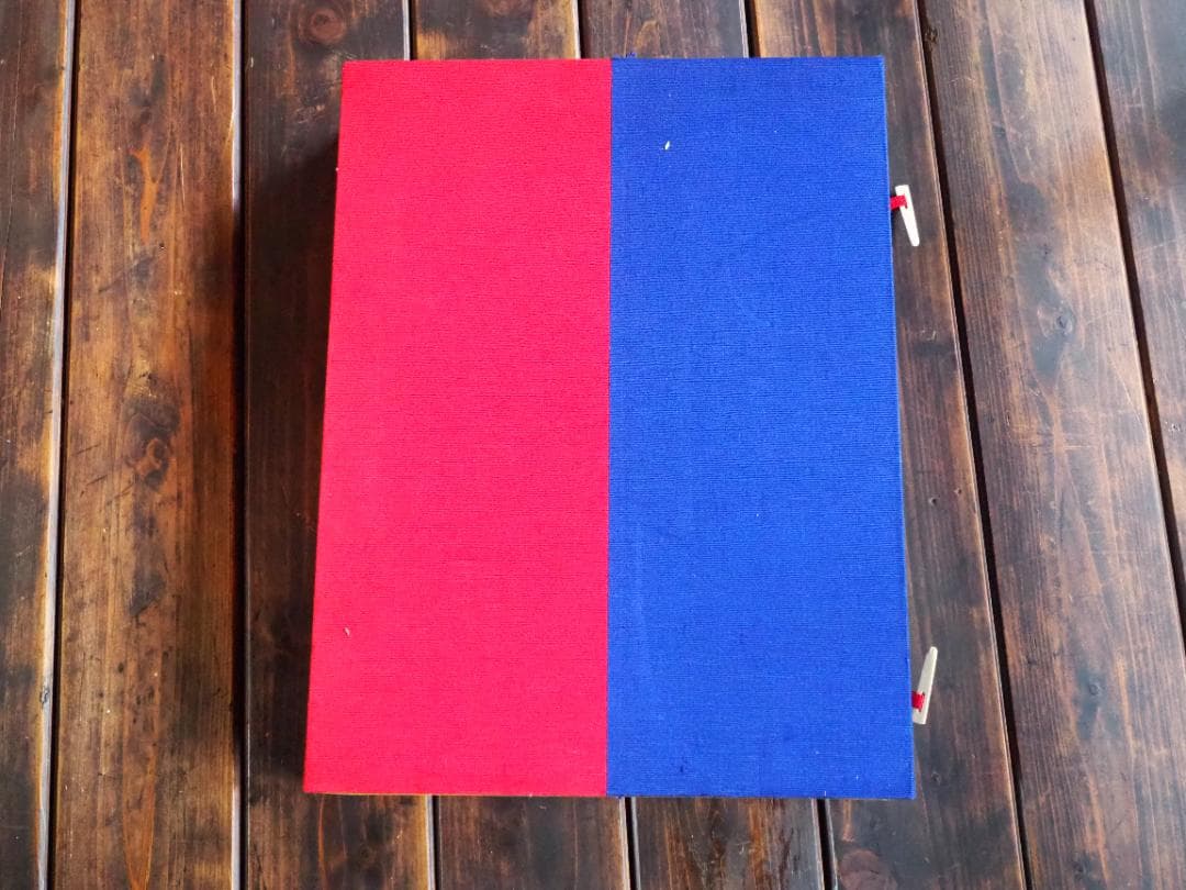 仏陀巡礼: 並河万里写真集 大型本 並河万里 (著)